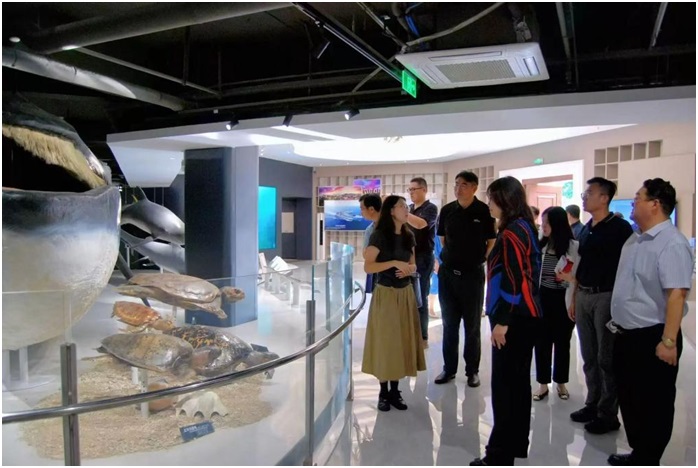 PG���ʹ���