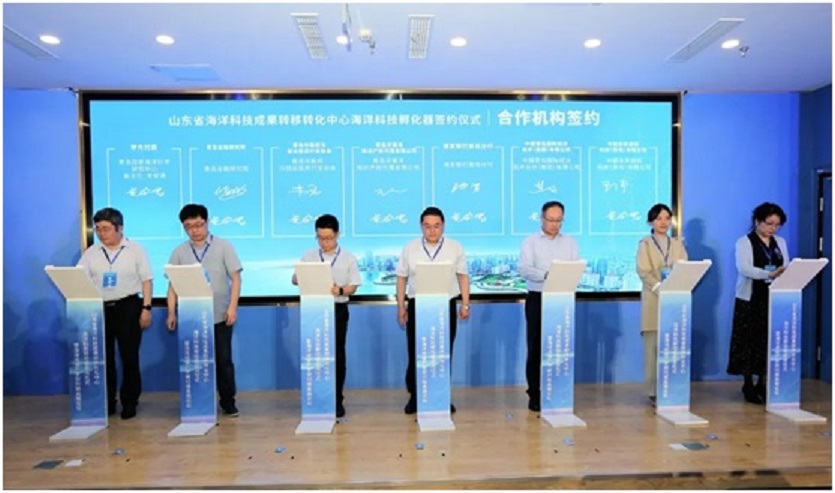 PG���ʹ���