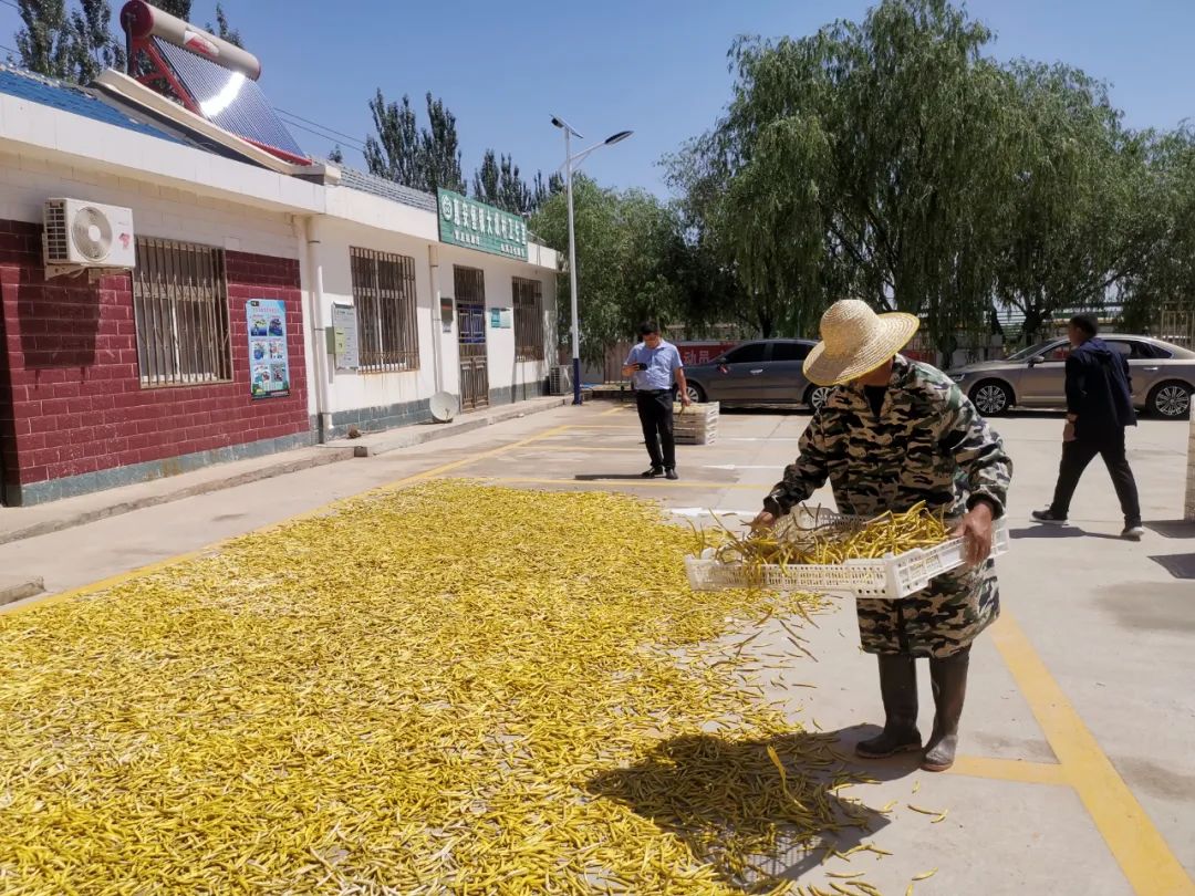 PG���ʹ���