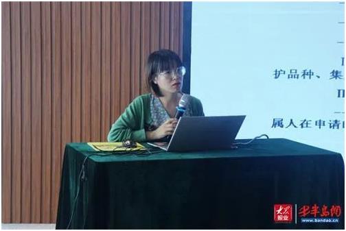 PG���ʹ���