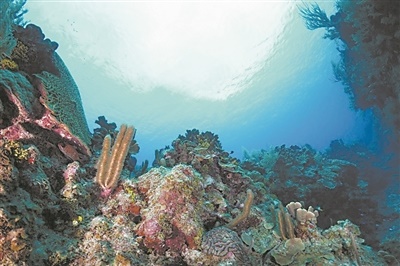 PG���ʹ���