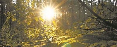 PG���ʹ���